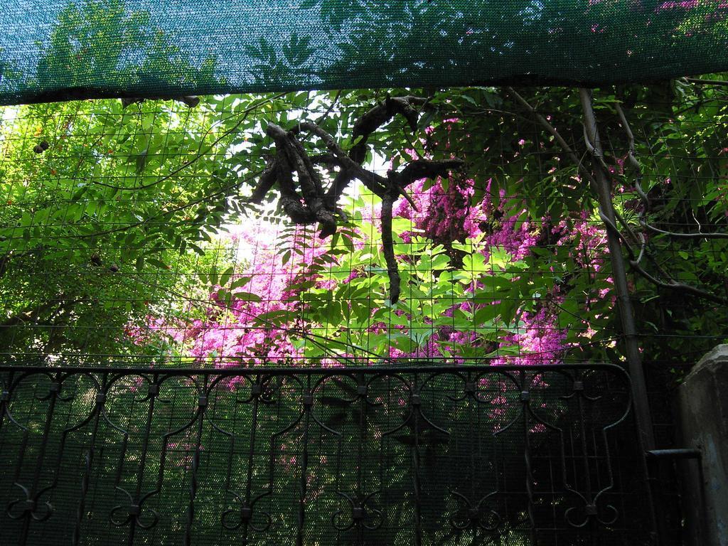 B&B Malennio Λέτσε Εξωτερικό φωτογραφία
