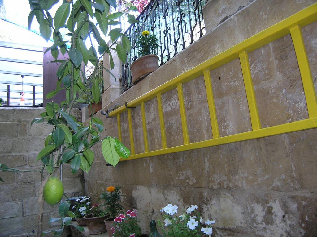 B&B Malennio Λέτσε Εξωτερικό φωτογραφία
